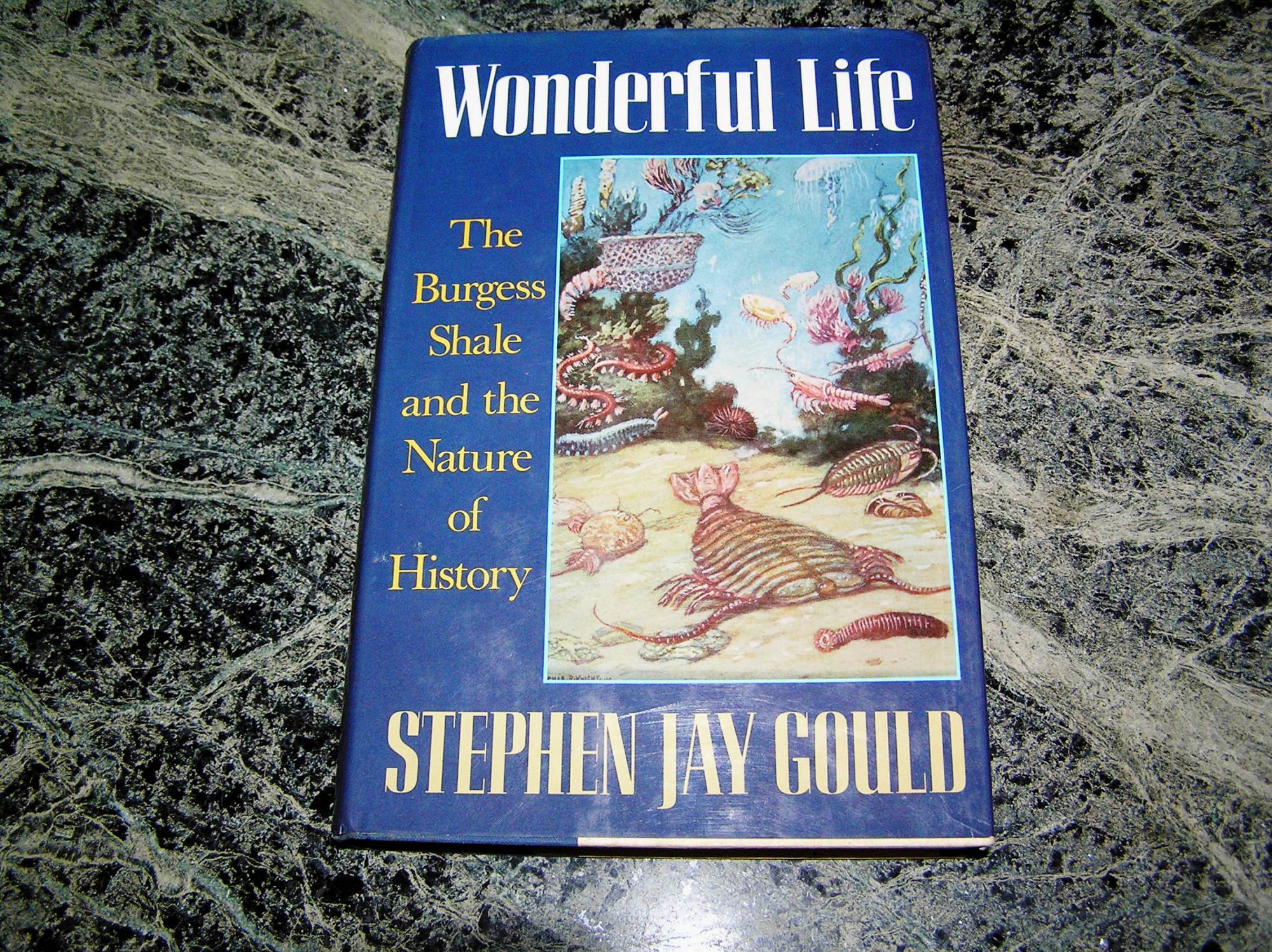 Stiven C. Quldun Burqes Şeyldən bəhs edən “Wonderful Life” adlı kitabı